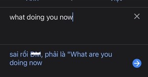 Thực hư chuyện ứng dụng Google Dịch mắng người dùng Việt bằng từ khiếm nhã