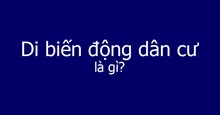 Di biến động dân cư là gì?
