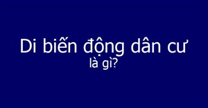 Di biến động dân cư là gì?