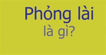 Phỏng lài là gì?