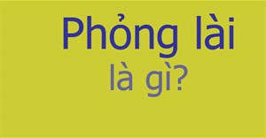 Phỏng lài là gì?