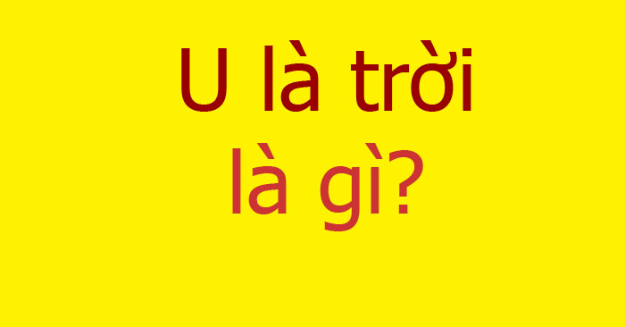 7. Tầm Quan Trọng của 