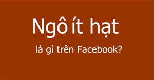 Ngô ít hạt là gì trên Facebook?