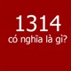 1314 là gì?