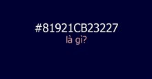 #81921CB23227 là gì mà bỗng xuất hiện khắp Twitter?