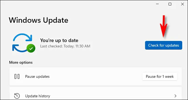 Nhấp vào nút “Check for Updates”