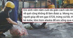 Lên ứng dụng hỗ trợ mùa dịch xin bò Kobe, tôm hùm Alaska hay anh người yêu: Không phải chuyện để đùa!