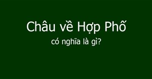 Châu về Hợp Phố có nghĩa là gì?