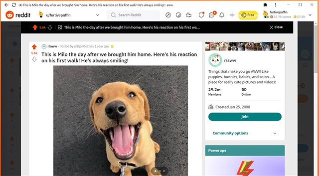 Reddit