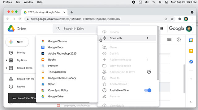 Khả dụng ngoại tuyến