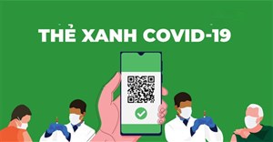 Thẻ xanh Covid là gì? Thẻ vàng Covid là gì? Điều kiện để có thẻ xanh, thẻ vàng Covid