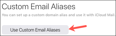 Click on “Use (or Manage) Custom Email Aliases”
