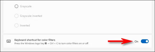 enable the option “Keyboard shortcut for color filters”