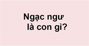 Ngạc ngư là con gì?