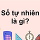 Số tự nhiên là gì? Tập hợp N và N* khác nhau như thế nào?