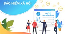 Cách tra cứu kết quả đóng BHXH công ty