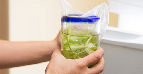 Bảo quản thủy canh