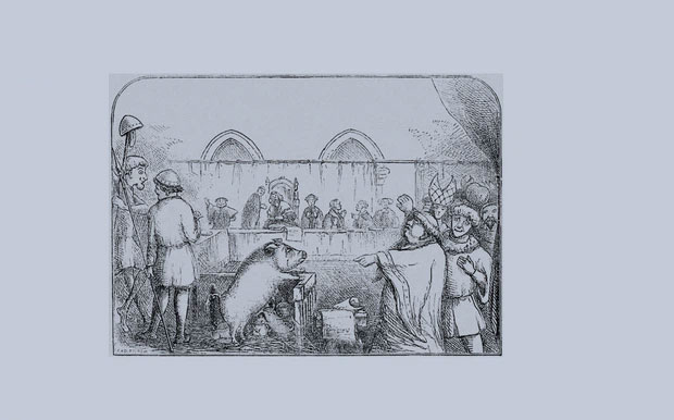 Năm 1386, một con lợn đã bị hành quyết bằng cách treo cổ ở Pháp