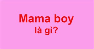 Mama boy là gì?