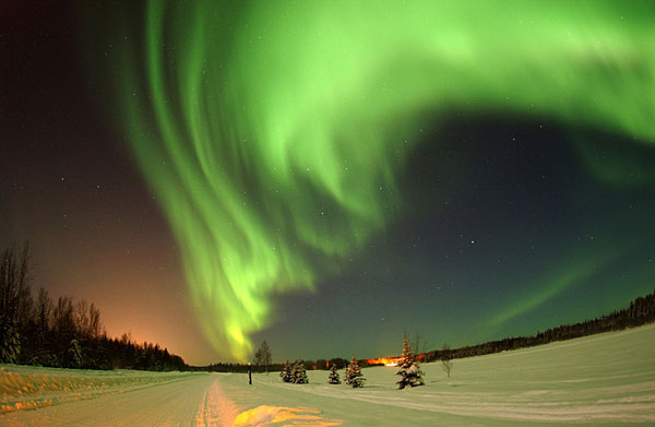 Cực quang ở thành phố Fairbanks, bang Alaska, cách Bắc Cực 2 vĩ độ. Ảnh: Alaska Tours.
