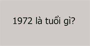 Sinh năm 1972 là tuổi gì?