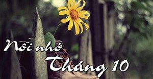 Thơ về tháng 10 hay, lãng mạn và tâm trạng nhất