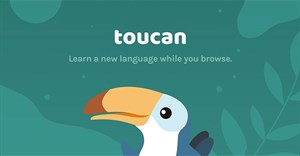 Toucan