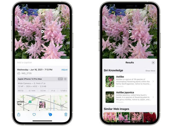 Visual Lookup trong iOS 15