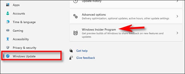 Click on “Windows Insider Program”