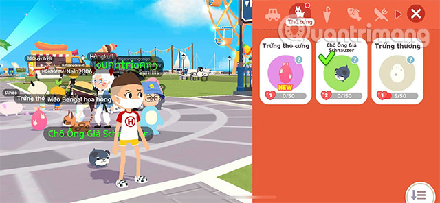 trứng thỏ play together