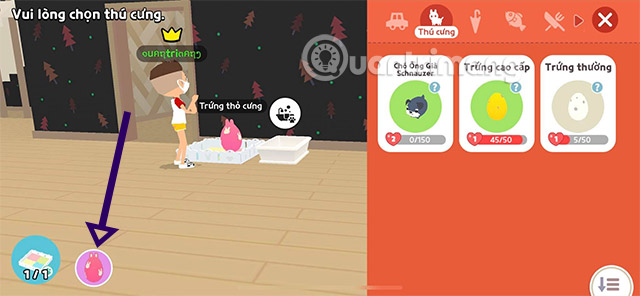 trứng thỏ play together