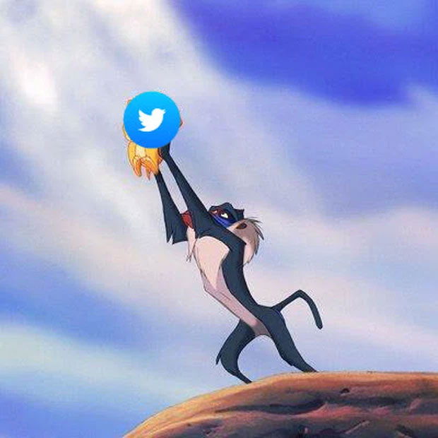 Vua mới của mạng xã hội đêm qua. 