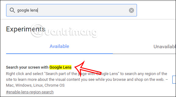 Google Lens trên Chrome