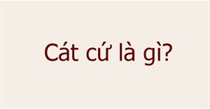 Cát cứ là gì?