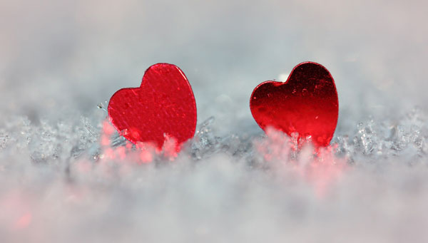 Trái tim mùa đông