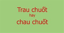 Trau chuốt hay chau chuốt hay trau truốt mới đúng chính tả