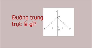 Đường trung trực là gì?