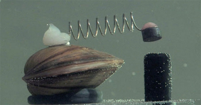 "Hệ thống" kiểm soát nước bằng những con trai cũng không quá phức tạp