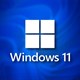 Cách vô hiệu hóa màn hình cảm ứng Windows 11
