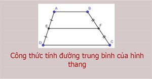 Công thức tính đường trung bình của hình thang