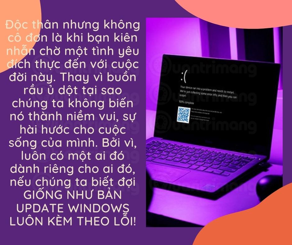 Bia kèm theo lạc