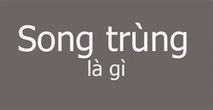 Song trùng là gì?