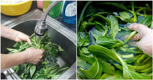 Rửa rau trong bồn rửa bát