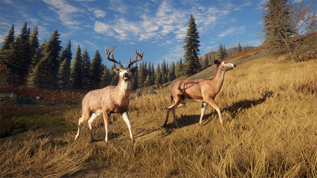 theHunter: Call of the Wild free