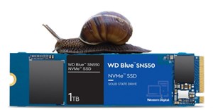 Nhiều người dùng báo cáo Windows 11 khiến ổ SSD NVMe bị giảm tốc độ