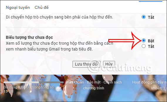 Enable Gmail unread mail icon