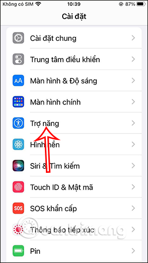 iPhone Accessibility