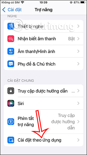 iPhone App Accessibility Settings
