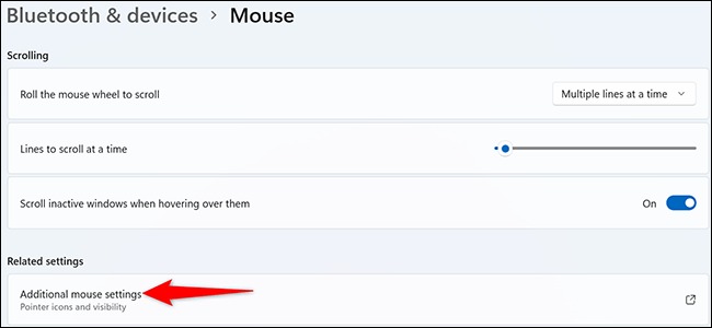 Bấm chọn “Additional Mouse Settings”