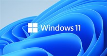 Cách bật tính năng Spotlight Collection trên Windows 11